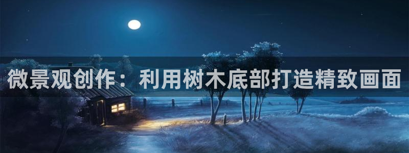 新宝gg1956登陆：微景观创作：利用树木底部打造精致画面
