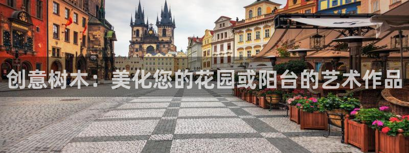 新宝gg是新宝几