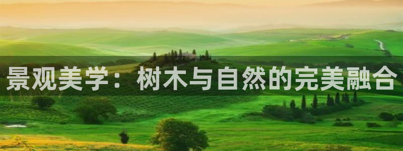 新宝六与新宝gg：景观美学：树木与自然的完美融合