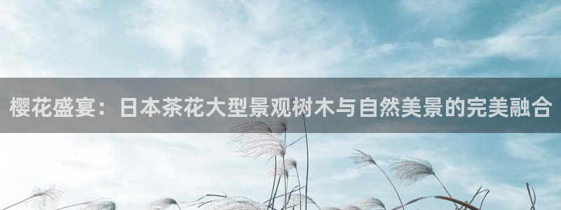 新宝gg创建奇迹：樱花盛宴：日本茶花大型景观树木与自然美景的完美融合