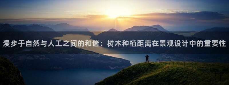 新宝gg返点1956是多少：漫步于自然与人工之间的和谐：树木种植距离在景观设计中的重要性