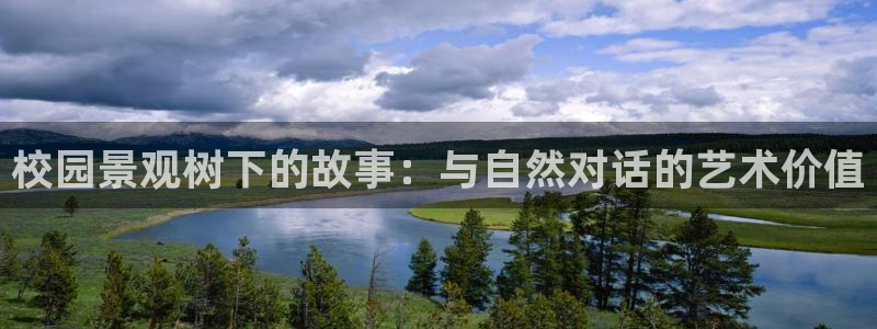 gg新宝创新：校园景观树下的故事：与自然对话的艺术价值