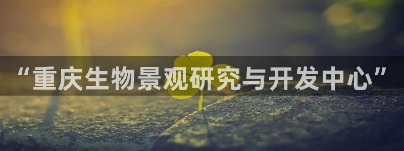 新宝新宝gg开户流程