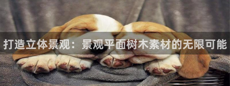 行新宝gg