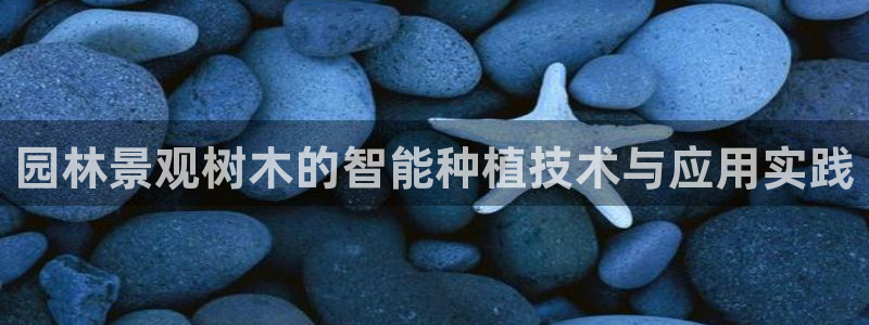 新宝gg娱乐vovq