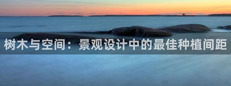 新宝gg介绍
