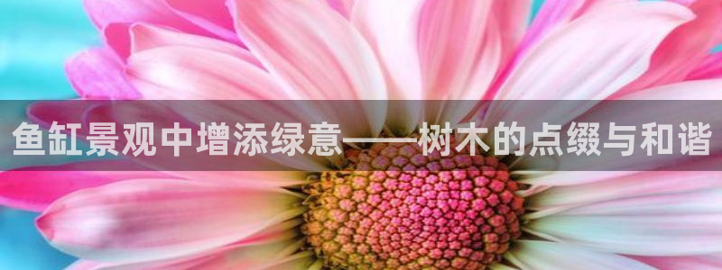 新宝GG亚洲：鱼缸景观中增添绿意——树木的点缀与和谐