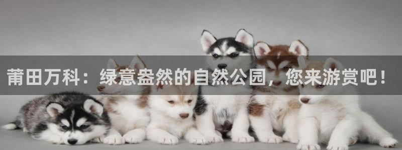 新宝gg最新章节：莆田万科：绿意盎然的自然公园，您来游赏吧！