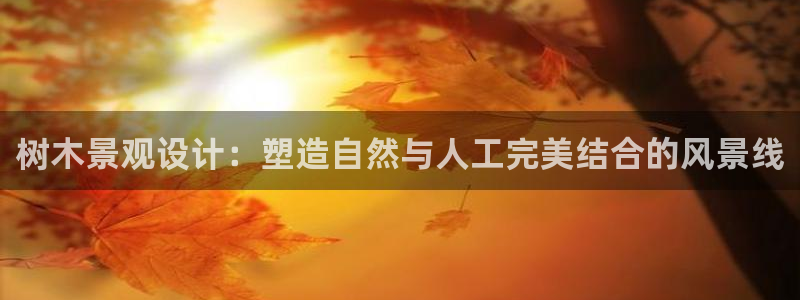 新宝gg客服：树木景观设计：塑造自然与人工完美结合的风景线