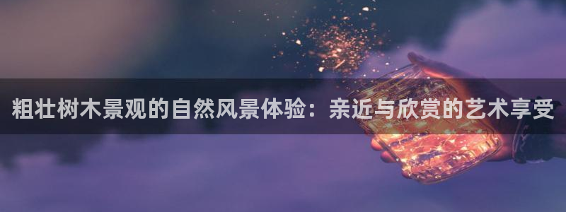 新宝gg奇迹