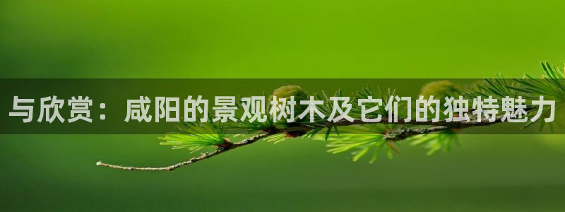 新宝gg地址新宝二