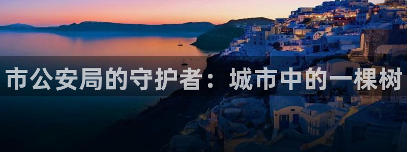 新宝gg如何做到总代理