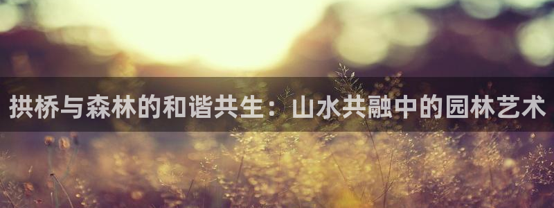 新宝gg娱乐主管q42873