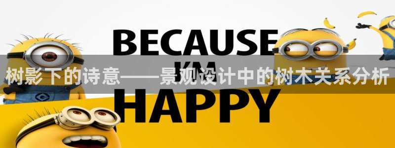 新宝gg主管都是谁