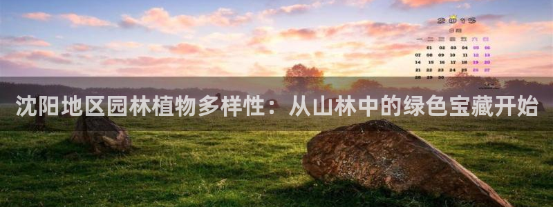 新宝gg平台连接