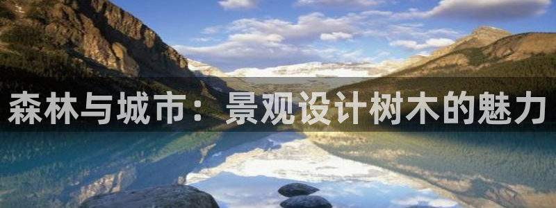 新宝gg在哪开户