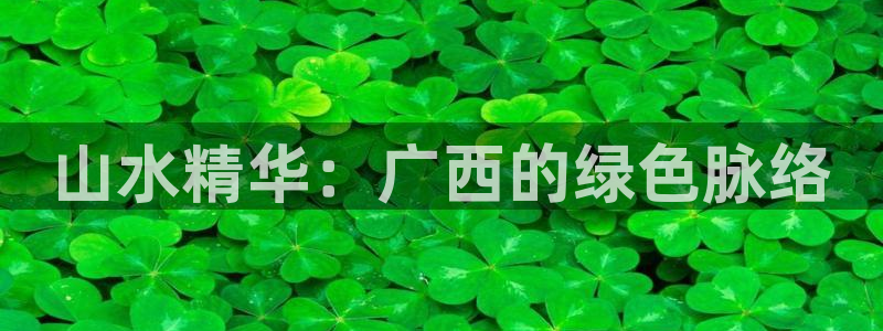 新宝gg创建奇迹