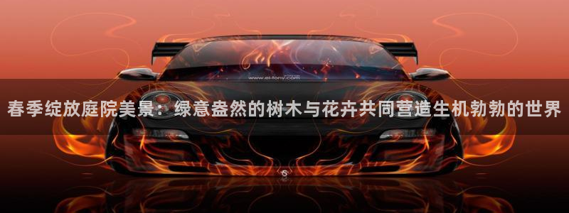 创造奇迹 新宝gg