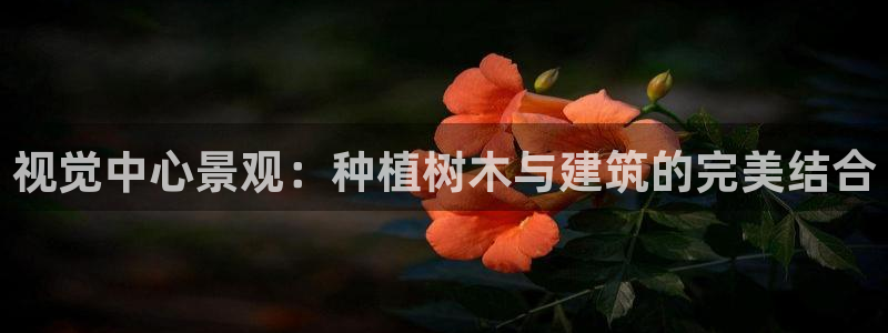 新宝GG类别78778：视觉中心景观：种植树木与建筑的完美结合