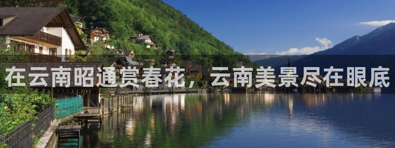 新宝gg 金苹果：在云南昭通赏春花，云南美景尽在眼底