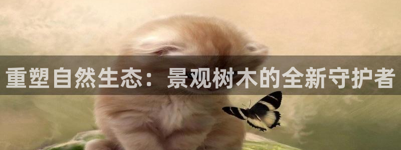 新宝gg平台下载安装