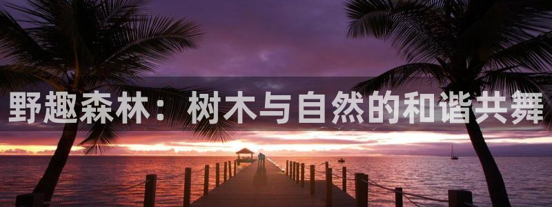 【新宝gg】：野趣森林：树木与自然的和谐共舞