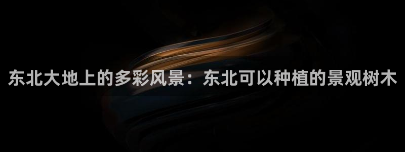 新宝gg dengludizhi