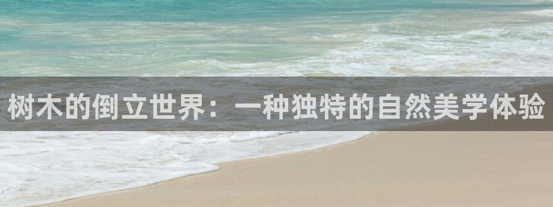新宝 -gg登录：树木的倒立世界：一种独特的自然美学体验