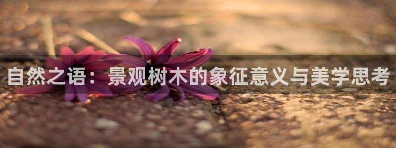 新宝gg主管 9：自然之语：景观树木的象征意义与美学思考