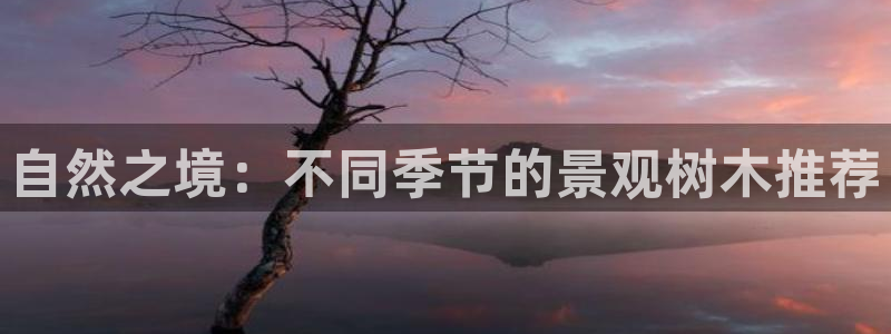 新宝gg_