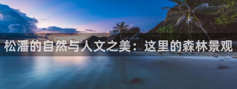 新宝gg -创造：松潘的自然与人文之美：这里的森林景观
