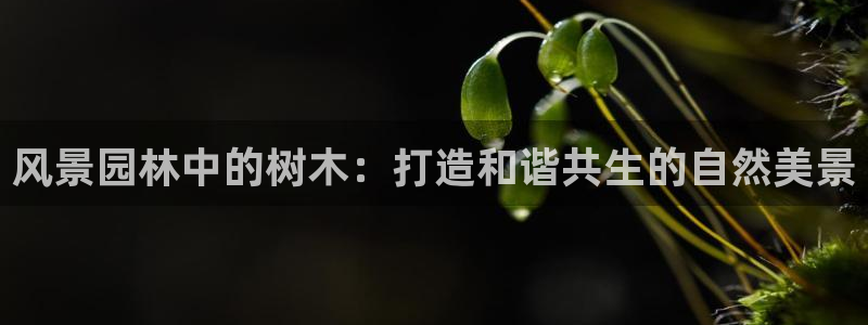 新宝gg走势