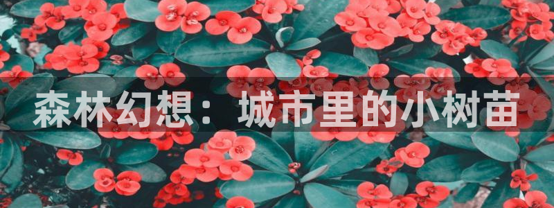 新宝gg平台反水