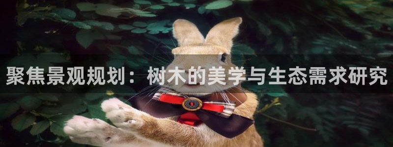 新宝gg试玩