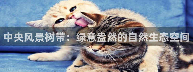新宝gg成立