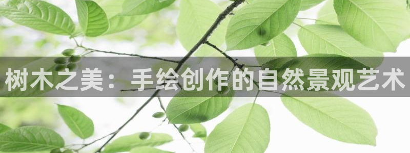 新宝gg在哪开户