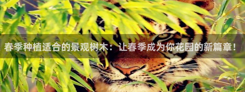 新宝gg团队：春季种植适合的景观树木：让春季成为你花园的新篇章！