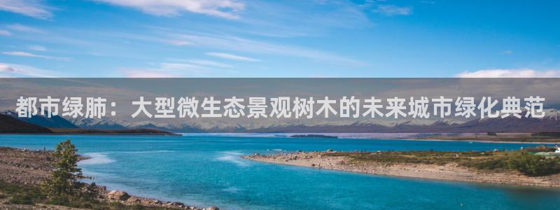 新宝GG无法充值