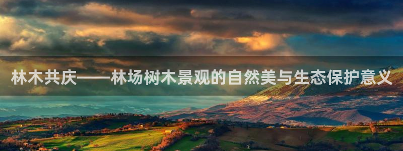 新宝GG玩家：林木共庆——林场树木景观的自然美与生态保护意义