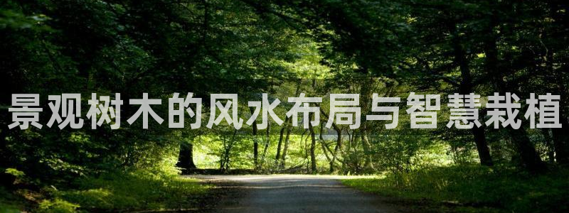 新宝娱乐gg