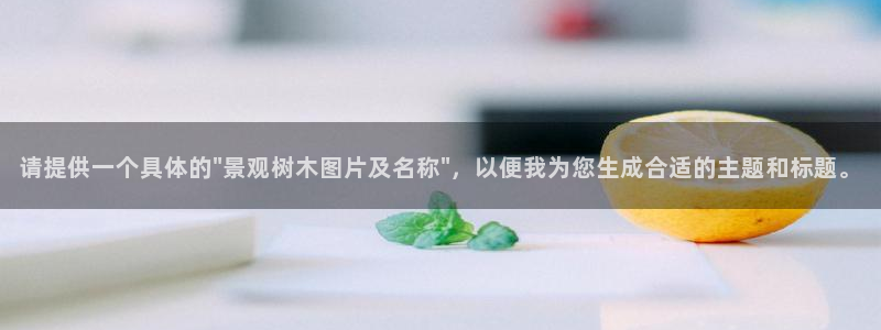 新宝gg线长