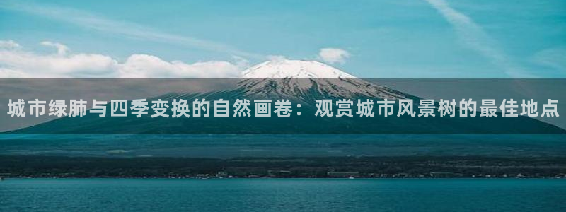 新宝GG跑路：城市绿肺与四季变换的自然画卷：观赏城市风景树的最佳地点
