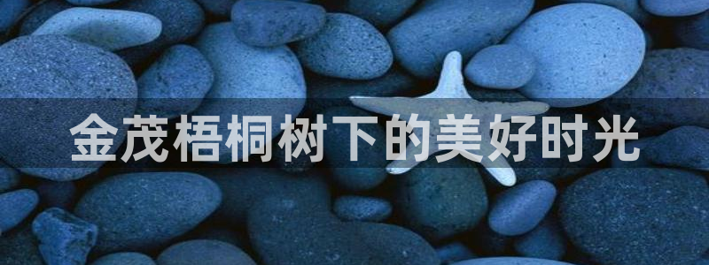 新宝gg公司