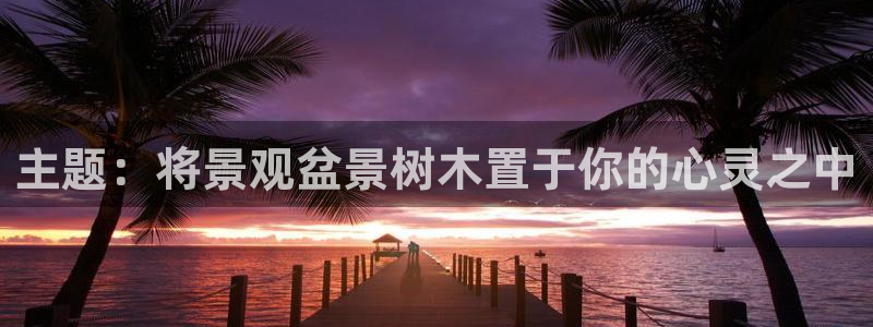 新宝gg真的能赚钱么