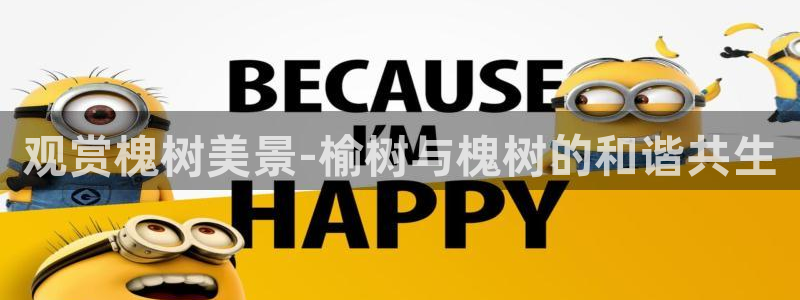 新宝gg平台连接