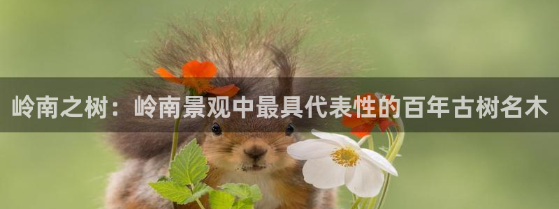 新宝GG专业团队