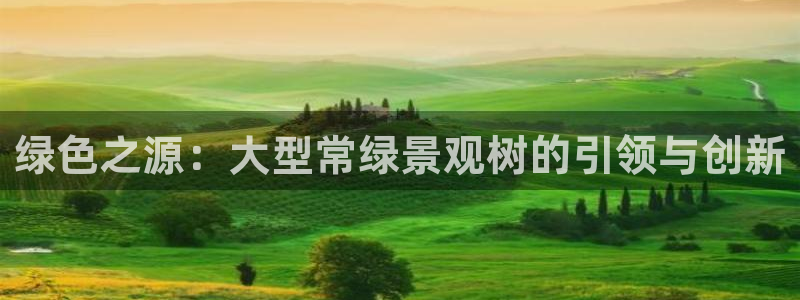 新宝gg龙虎规则
