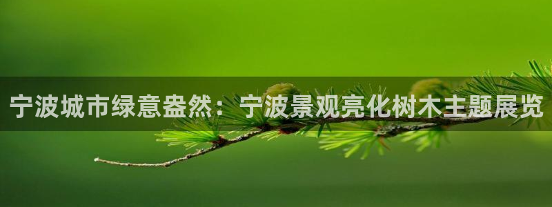 新宝GG—创造奇迹