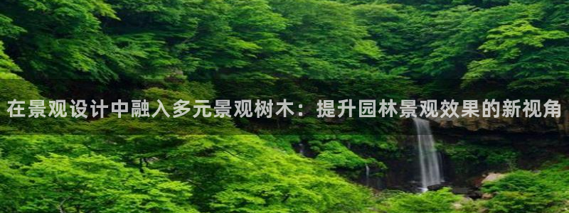 新宝GG电话