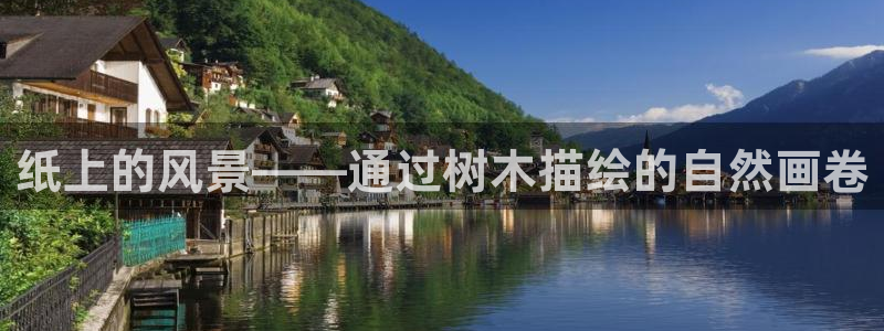 新宝GG的老板：纸上的风景——通过树木描绘的自然画卷